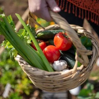 MARCHÉ HEBDOMADAIRE