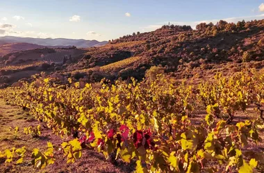 DOMAINE LÉRYS