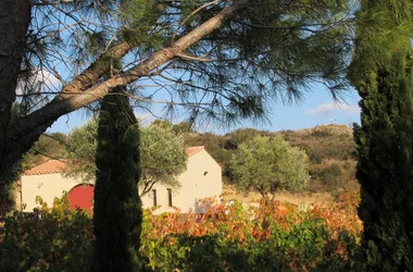 GITE AU MILIEU DES VIGNES