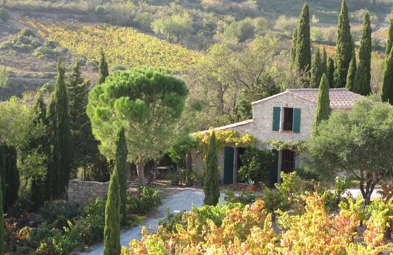 GITE AU MILIEU DES VIGNES