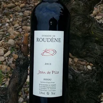 DOMAINE DE ROUDÈNE