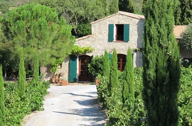 GITE AU MILIEU DES VIGNES