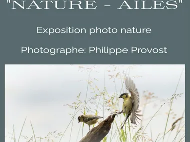 EXPOSITION PHOTOS « NATURE-AILES  » DE PHILIPPE PROVOST