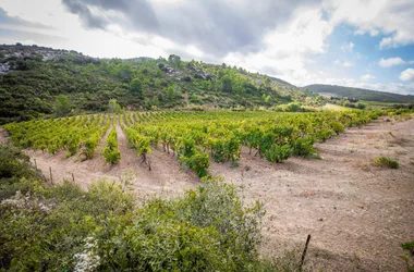 DOMAINE FEMENIAS