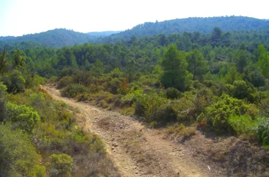 LE PLATEAU PAR LA PORTE DU CHATEAU