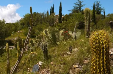 JARDIN BOTANIQUE DE FONCAUDE