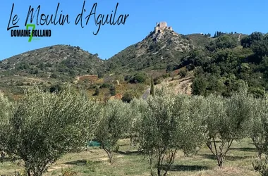 Le Moulin d'Aguilar Domaine de Rolland
