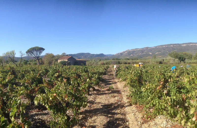 DOMAINE ESCLARMONDE – LES CABRILS