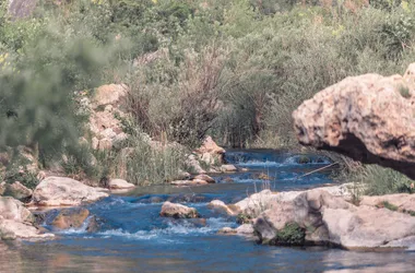 GORGES DE RIPAUD