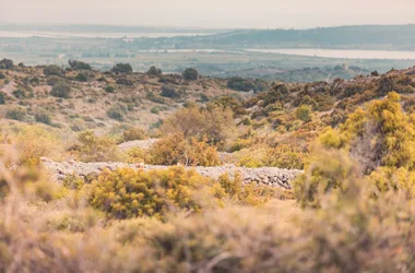 DE LA GARRIGUE AU VIGNOBLE