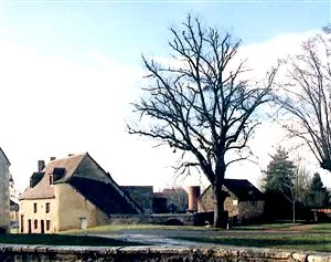 Gîte de groupe du Moulin de Sagonne