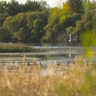 Cabane « les Rondières »