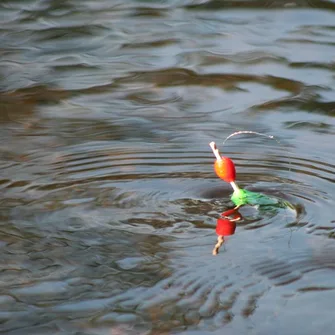 Pêche à l’étang de la Sablière