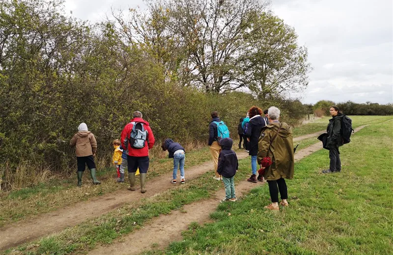 Visite « Les fruits de la haie bocagère »