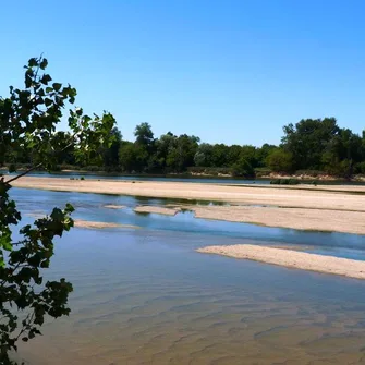 Les Îles de Bonny