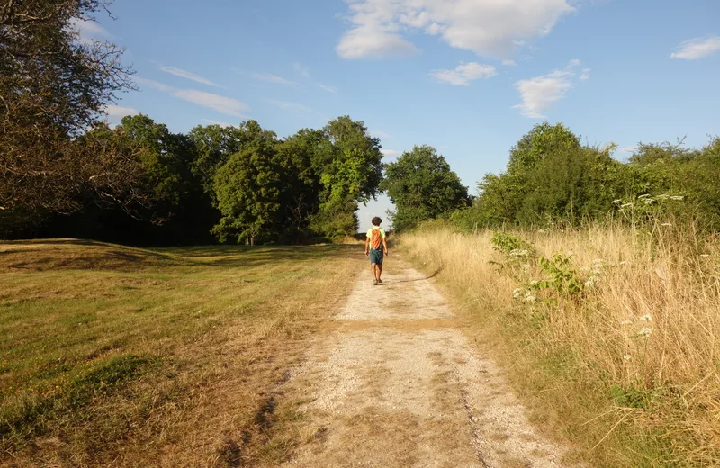 Randonnées pédestres en Loir-et-Cher – FFRandonnée Loir-et-Cher