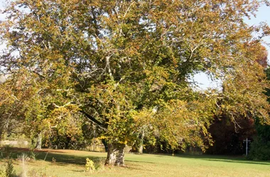 Chambres de Longchamps