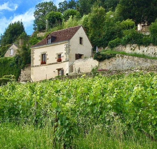 Gite des vignes blanches