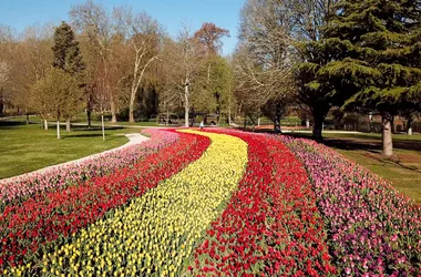 Jardins des Tulipes du château de Cheverny