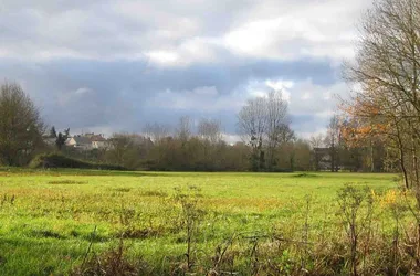 Les prairies de l’Indre