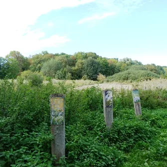 Espace naturel sensible du Grand Rozeau et des Près Blonds