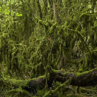 Réserve Naturelle Nationale des Vallées de la Grand-Pierre et de Vitain