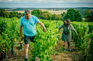 Domaine Marc Guérin