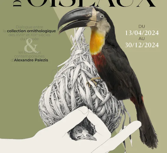 Exposition La République des oiseaux Du 1 sept au 29 déc 2024