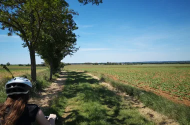 Circuit VTT n°4 : Sur les pas de George Sand, de la Châtre à Nohant