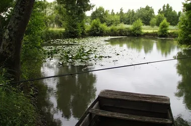 Pêche dans l'Indre