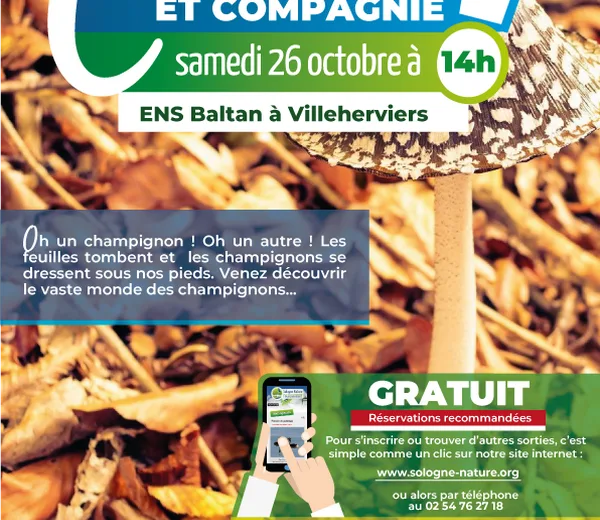 Découvertes Sologne Nature – Un coprin pie et compagnie !