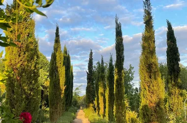 Jardins Haute Couture - Huismes, Val de Loire.