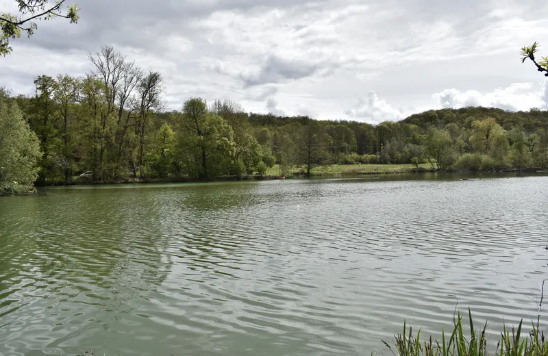 La Ferme d’Odysséa Pêche & Nature