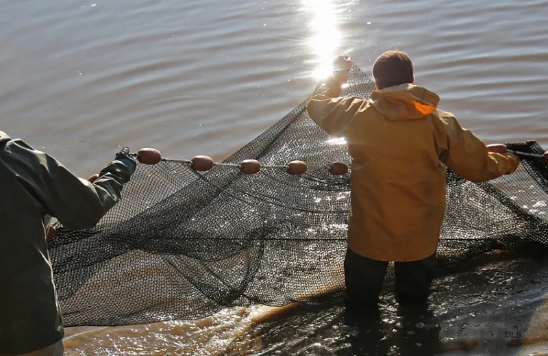 Découverte commentée d’une pêche d’étang