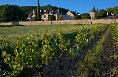 Château de la Vauguyon