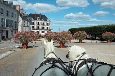 Promenades en attelage dans la vieille ville