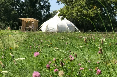 Amantine « The Stargazer » à La Prairie Étoilée