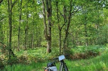 Fête du vélo – une Echappée en Centre-Val de Loire