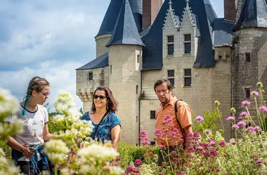 Chateau de Langeais - Loire Valley - France