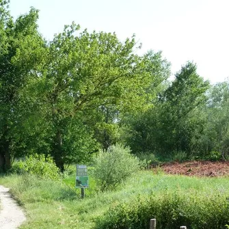 Site naturel préservé de Benne