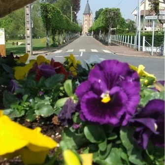 Journée européenne du patrimoine – visite guidée de la ville de Senonches