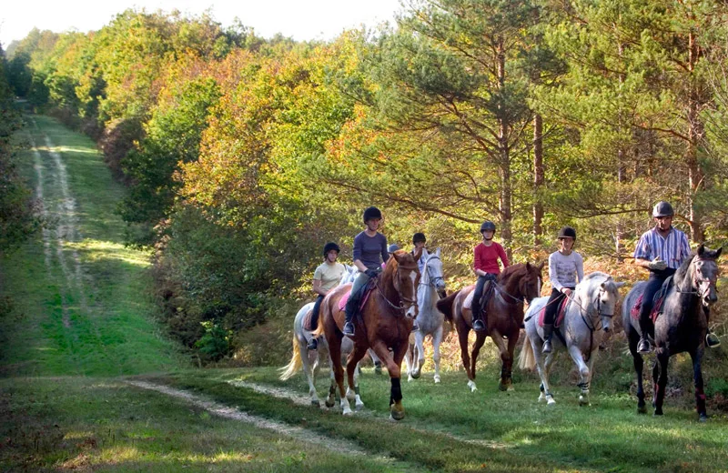 L’Alezane – enseignement équitation de loisirs et fédérale