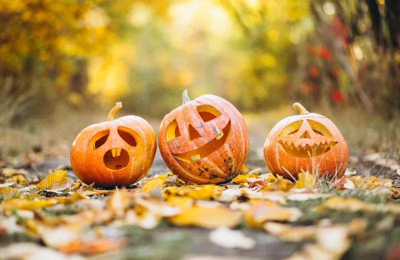 La Pagode de Chanteloup fête halloween