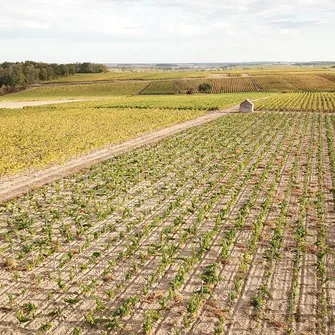 Domaine de la Pagerie – Famille Pointereau