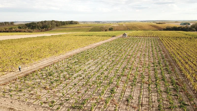 Domaine de la Pagerie – Famille Pointereau