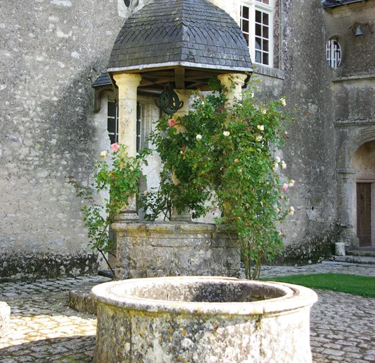 Puit-Chateau-de-Talcy-Thierry-Savoir-ADT41