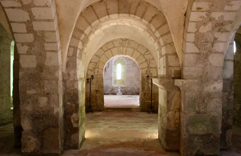 Collégiale Saint-Martin et sa Crypte