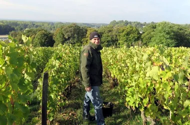 Vincent Carême - Le vignoble de Vernou - AOC Vouvray
