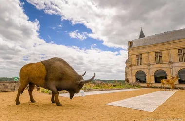 Musee_Prehistoire_Grand_Pressigny_Cour_Bison_Credit_ADT_Touraine_JC_Coutand