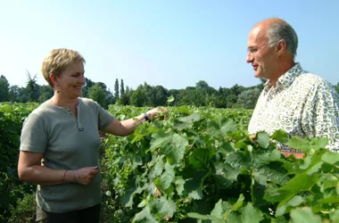 couple-de-viticulteurs-2048x1365